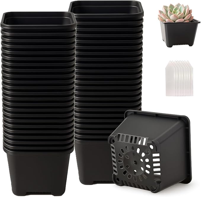 50 Packs Square Nursery Pots for Plants 5.5 Inch Succulent Plant Pots Set Plastic Seedling Starting Pots with Drainage Holes Nursery Pots Variety Pack Flower pots Planter Seed Starter, Black
