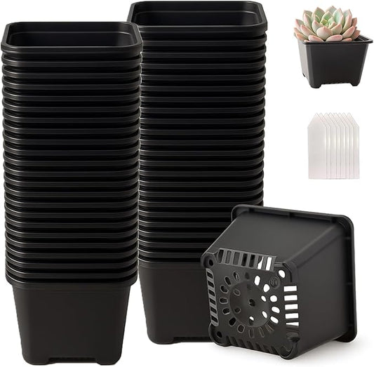 50 Packs Square Nursery Pots for Plants 5.5 Inch Succulent Plant Pots Set Plastic Seedling Starting Pots with Drainage Holes Nursery Pots Variety Pack Flower pots Planter Seed Starter, Black