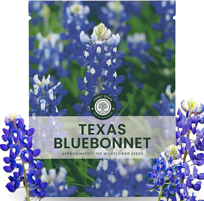 Texas Bluebonnet – 150 Seeds for Planting – 2026 Season – 5-Gram Pouch