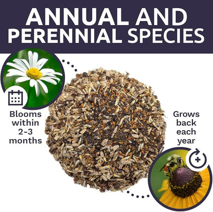 Sweet Yards - Northeast Wildflower Seed Regional Mixes - Bulk 1/4 Pound Bag - Over 30,000 Native Seeds - Open Pollinated and Non GMO Varieties for New York, Virginia, Pennsylvania, Maine and More!