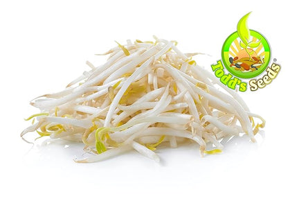 Todd’s Seeds - Mung Bean Sprouting Seed - Mung Bean Seeds - Chinese Green Bean - 1 Pound Bulk Seeds