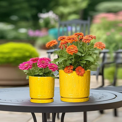 Ceramic Pots for Plants, 10 Inch Plant Pot with Drainage Holes and Tray, Round Planter for Indoor Outdoor Plants, Modern Decorative Flower Pots, Office Decor, Birthday Gift for Women, Yellow