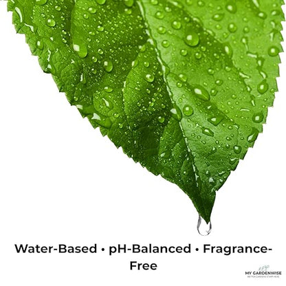 Leaf Shine Spray for Indoor Plants – Plant Leaf Cleaner & Shine for Real House Plants – Fragrance-Free, Non-Sticky, Streak-Free Finish, 16 fl oz