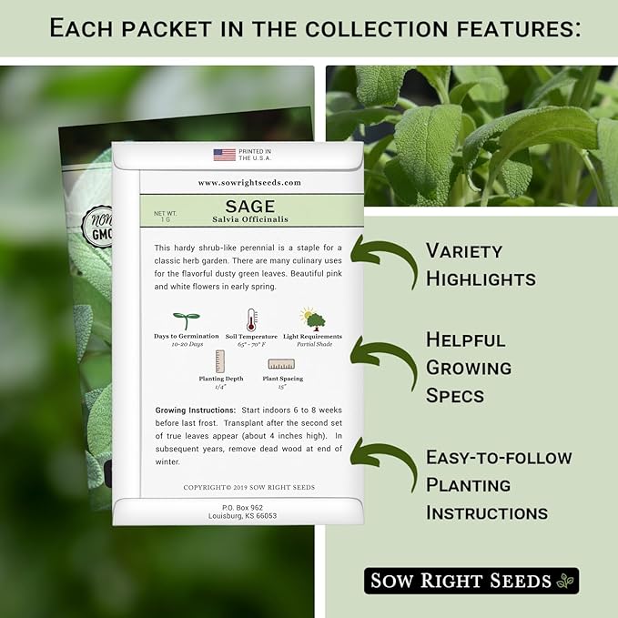 Sow Right Seeds - Sage Seed Collection - Salvia Seeds for Planting Indoors & Outdoors - Common, Blue, Scarlet & White - Non-GMO Heirloom Varieties - Grow Aromatic Herb Garden - Herbal or Culinary Use