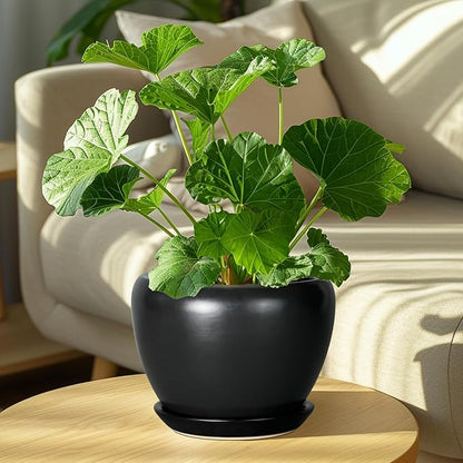 Ceramic Planter Pot - 8 Inch Plant Pot with Drainage Hole and Saucer Round Planter for Indoor Plants Modern Outdoor Flower Pot for House Balcony Black