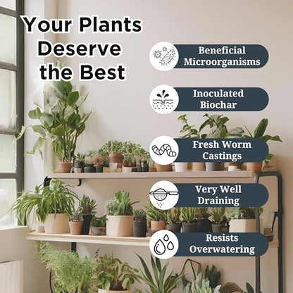 Premium Indoor Plant Potting Mix (4qt) – Peat-Free, Well-Draining Soilless Blend for Aroids & Tropical Houseplants with Coco Coir, Biochar & Pumice