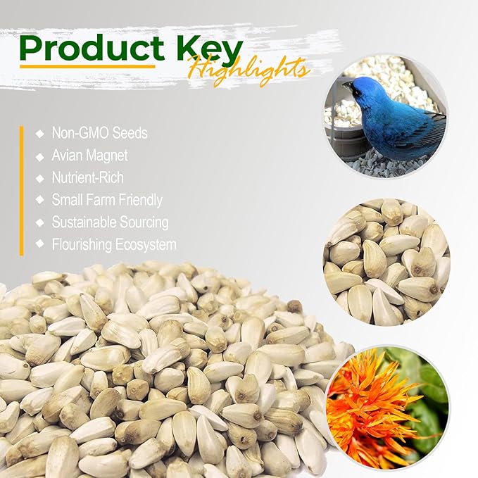 Old Potters Wildlife Safflower Seed for Wildlife Bird Feeding, Non-GMO and USA Small Farm Grown, 12 lbs