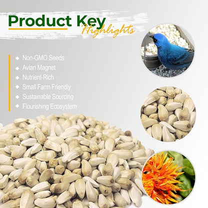 Old Potters Wildlife Safflower Seed for Wildlife Bird Feeding, Non-GMO and USA Small Farm Grown, 50 lbs