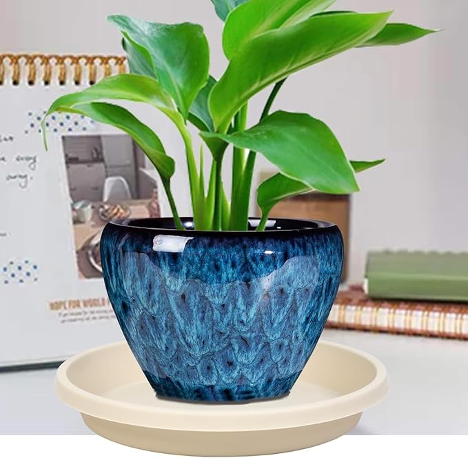 Plant Saucer 12 Inch 2 Pack Heavy Duty Plant Saucers Plastic Reusable Drip Trays for Flower Pots