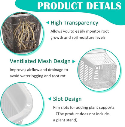 BTPLASTIK Clear Square Nursery Pots, 30 Packs 4 Inch Clear Air Pruning Square Pots, Transparent Plastic Plant Pots for Seed Starting, Root Cutting