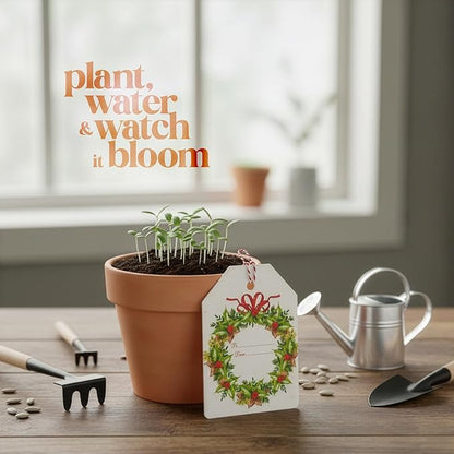 Christmas Plantable Gift Tags with Wildflower Seeds – Writable, Plantable Merry Christmas Tags, 4 Festive & Ornament Designs, Perfect for Holiday Gifts, Family & Friends (48 Tags (12 per Design)