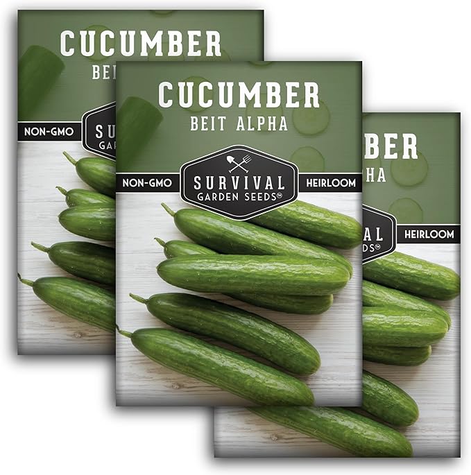 Beit Alpha Cucumber Seeds for Planting | Crisp Burpless Variety with Smooth Skin – Heirloom, Non‑GMO – Survival Garden Seeds (3 Packs)