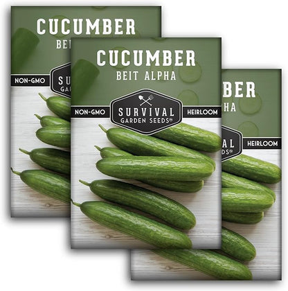 Beit Alpha Cucumber Seeds for Planting | Crisp Burpless Variety with Smooth Skin – Heirloom, Non‑GMO – Survival Garden Seeds (3 Packs)