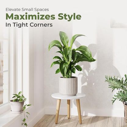 Leaf&lull Plant Table Small Plant Stand Indoor for Large Plants Wood Plant Stool Tall Plant Holder for Living Room Bedroom Balcony White