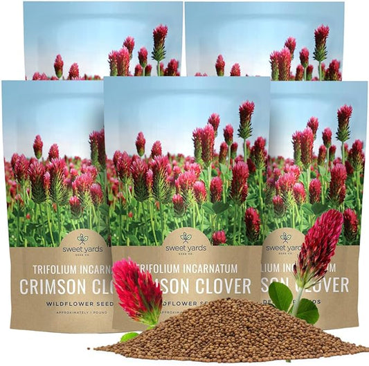 Crimson Clover Seeds for Planting – Bulk 5 Pounds – Over 400,000 Open Pollinated Non-GMO Seeds – Trifolium incarnatum
