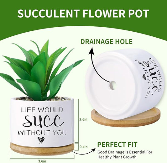 Funny planters for Indoor Plants,Funny Gifts for Planter Lover,Indoor Plants Garden Planters Succulent Pots, with Drainage Holes and Saucer(No Plants) (Life Would SUCC Without You)