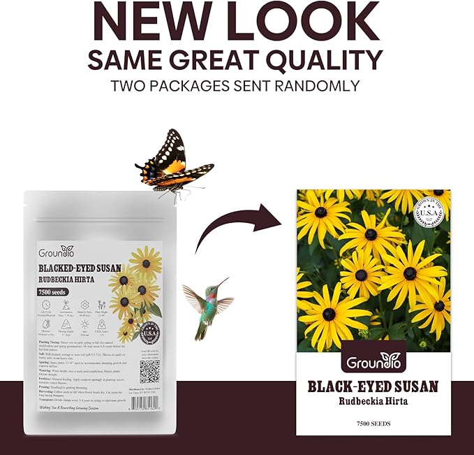 Black Eyed Susan Seeds, 7500+ Perennial Flower Seed to Plant Indoor & Outdoor, Attract Pollinators | Non-GMO | Heirloom Wildflowers Seeds, USDA Zone 3-9