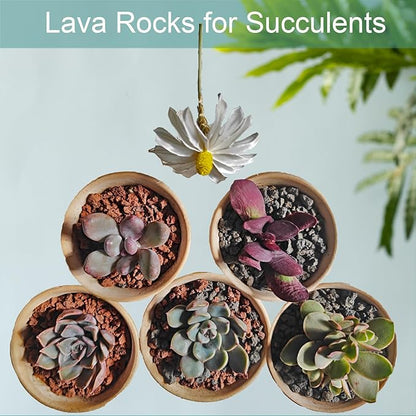 Lava Rocks for Plants, Volcanic Stones Gravel Horticultural Drainage Potting Soil for Indoor Outdoor Plants, Succulents, Bonsai, Cactus, Vase Fillers, Top Dressing (Red, 5lbs)