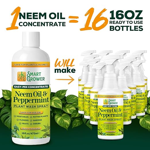 Neem Oil Spray for Plants with Peppermint Oil – for Indoor & Outdoor Plants, Gardens, & Houseplants– Best Value Refill 16 oz Concentrate Makes 2 Gallon RTU