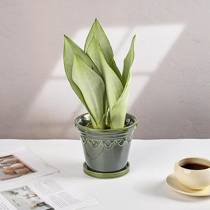 6.3 Inch Ceramic Planter, Plant Pot with Drainage Hole and Saucer, Decorative Glaze Flower Pot for Indoor Plants (Olive Green)