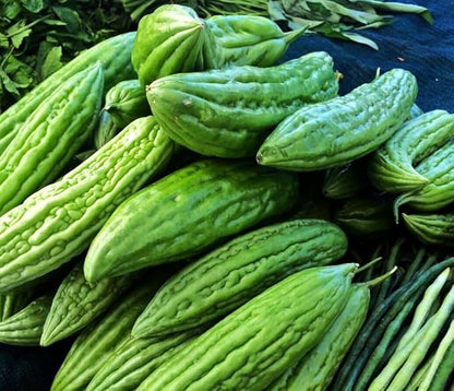 15 Long Bitter Melon Seeds - Up to 16 inches Fast Growing - Bitter Gourd Heirloom Non-GMO Vegetable Seeds