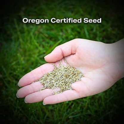 Twin City Seed Co. Bee Lawn Mix, Grass & Flower Mixture, 5 lb Bag