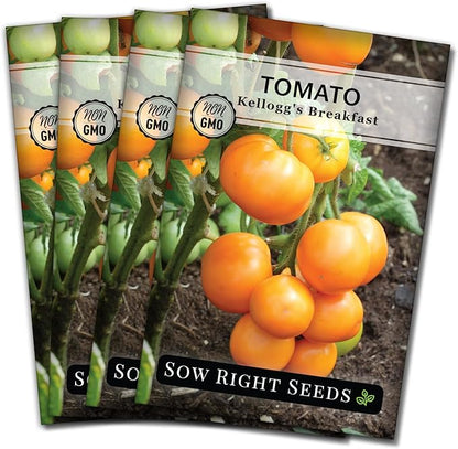 Sow Right Seeds - Kellogg’s Breakfast Tomato Seeds for Planting - Non-GMO Heirloom Packet with Instructions to Plant a Home Vegetable Garden - Beefsteak Slicer with Orange-Yellow Skin - Mild Taste (4)
