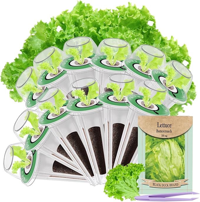 12-Pod Lettuce Seed Pod Kit for AeroGarden, iDoo, Ahopegarden Hydroponic Growing System, 350mg Seeds