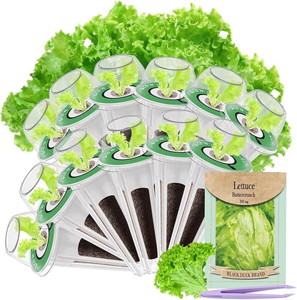12-Pod Lettuce Seed Pod Kit for AeroGarden, iDoo, Ahopegarden Hydroponic Growing System, 350mg Seeds