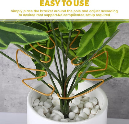 4 PCS Monstera Plant Support, Plant Support Stakes for Indoor Plants Plant Stem Support Metal Monstera Plant Stabilizer Holder Plant Clips for Climbing Plants Support for Thriving Growth