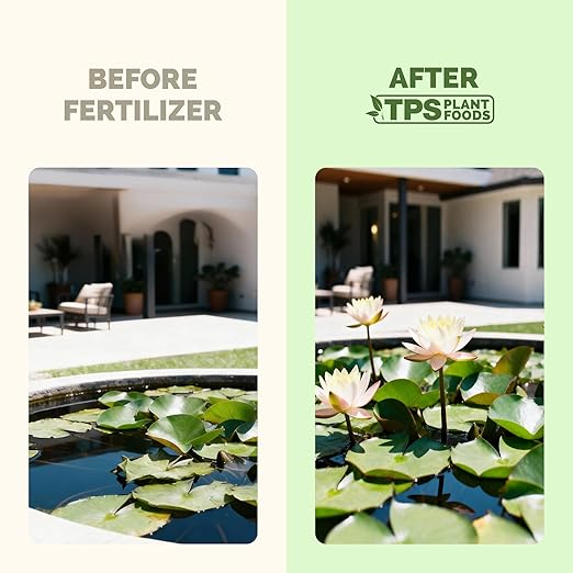 Lotus Fertilizer, Complete Lotus Plant Food, 8 oz (250mL)