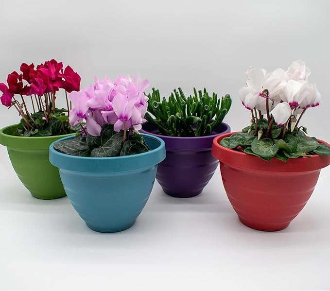The HC Companies Rings Flower Planter - Self Watering Plant Pots for Herbs & More - Round Lightweight Outdoor & Indoor Planter (8" Warm Red, Pack of 1)