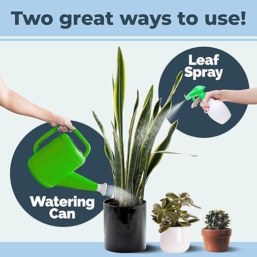 Succulent Plant Food – Gentle Liquid Fertilizer for Succulents & Cactus, 32 oz