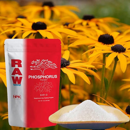 RAW Phosphorus 2 oz