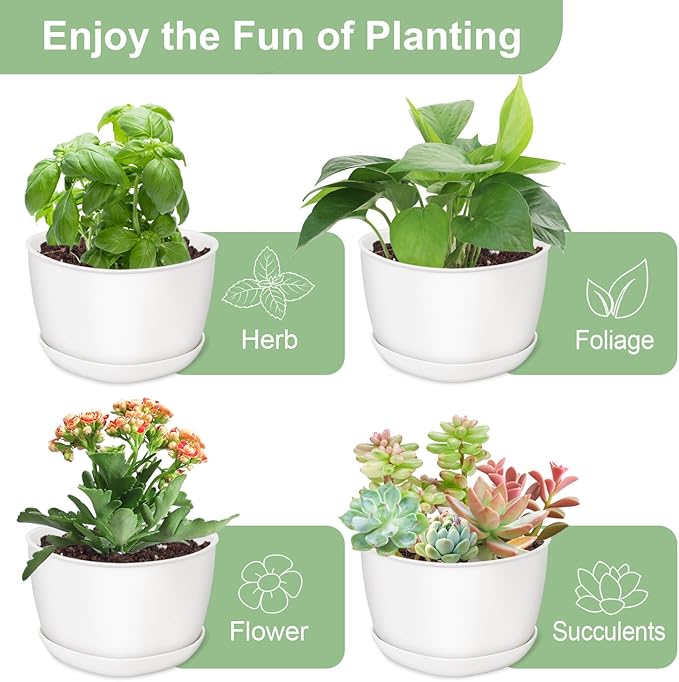 Succulent Pots Heart-Shaped Shallow Herb Planters with Drainage Hole - 4 Packs Cactus Planter for Home Office Garden Plants Pot Present - Plants Not Included (Off White)