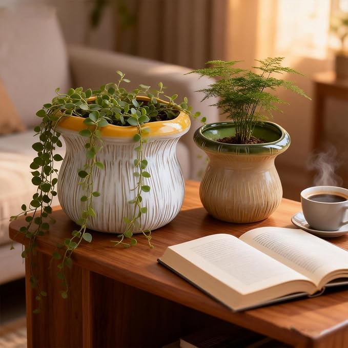 2 Pack Plant Pot Flower Pots Ceramic Planter with Drainage Hole Small Ceramic Pots for Indoor Outdoor Plants Succulent Pot