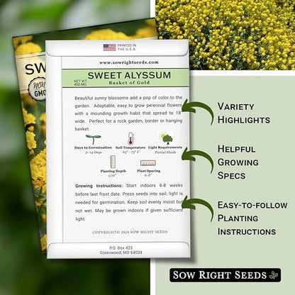 Sow Right Seeds - Sweet Alyssum Basket of Gold Flower Seeds for Planting - Perennial Garden Flowers - Easy to Grow Fragrant Blooms - Ideal for Borders and Containers - Attract Pollinators (3)