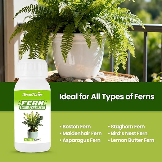 Fern Liquid Fertilizer – Natural Organic Plant Food for Ferns, Indoor & Outdoor Use, 300ml Concentrated Probiotic Formula for Greener Leaves, Strong Roots & Healthy Growth