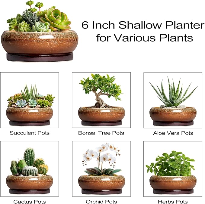 Succulent Pots - 6 Inch Ceramic Bonsai Pots with Drainage Hole and Tray, Succulent Planters for Indoor Outdoor, Shallow Round Planter, Cactus Pot, Desk Decor, Plant Lover Gifts, Retro Brown