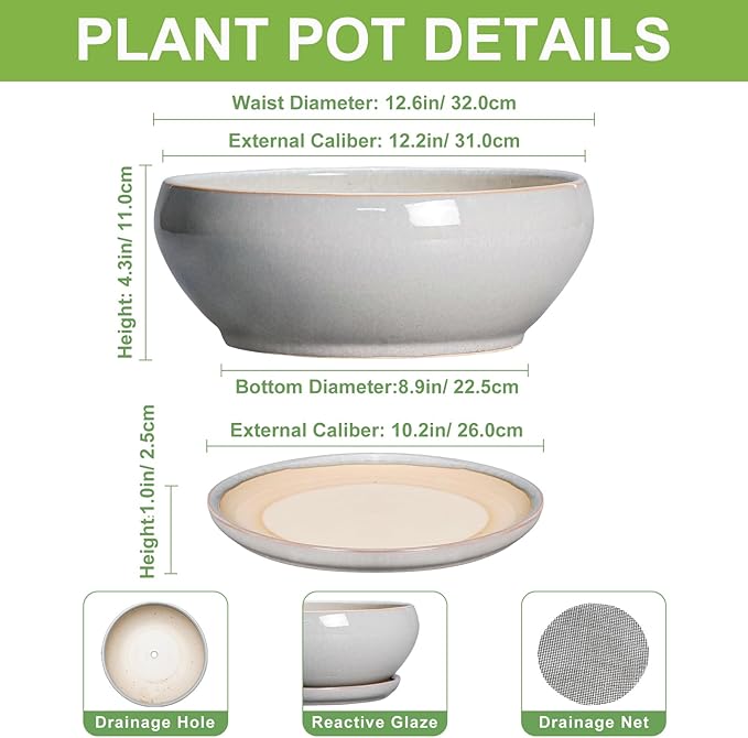 SQOWL 12 Inch Bonsai Pots - Large Ceramic Succulent Pots with Drainage Hole and Saucer, Shallow Planter for Indoor Outdoor Plants Flowers, Round Planter Bowl, Garden Decor, Gifts for Women, Gray