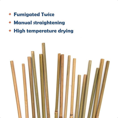 Bamboo Stakes 2FT Garden Stakes Plant Stakes for Indoor Potted Climbing Plants Poles Sticks Support Peppers Orchid Daffodils 30 Pack
