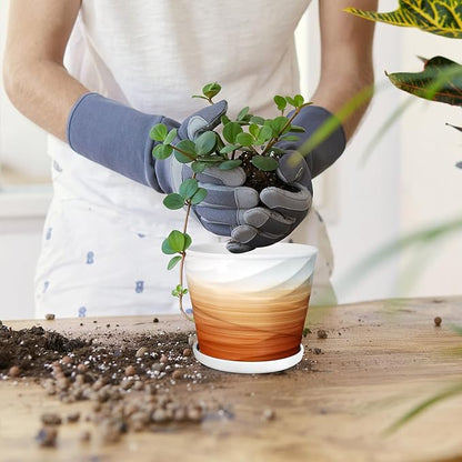 5 Inch Plant Pot,Ceramic Planter with Drainage and Saucer,Ceramic Pots for Plants,Indoor Plant pots,Planters for Indoor Plants(5.5 in Diameter,4 Pack)
