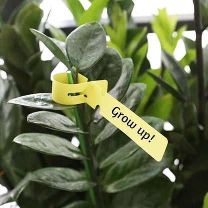 1000 Pcs 5 Colors Plastic Plant Hanging Tree Tags Nursery Garden Lables Tags Large Writing Surface,2x20cm(Box of 1000)