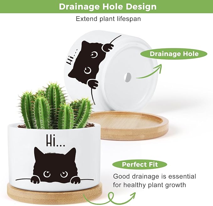 3 Pcs Cat Ceramic Plant Pots,Funny Cat Planter Gifts for Women,for Indoor Plants Garden Planters Succulent Pots, with Drainage Holes and Saucer(No Plants)