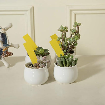 1000 Pcs 4 Inch Garden Plant Labels, Plastic Nursery Tags Waterproof Pot Seed Markers, Yellow