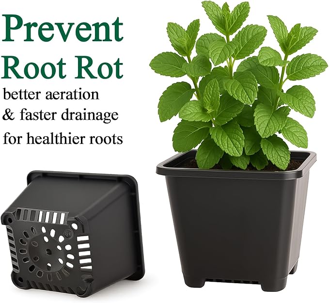 50 Packs Square Nursery Pots for Plants 5.5 Inch Succulent Plant Pots Set Plastic Seedling Starting Pots with Drainage Holes Nursery Pots Variety Pack Flower pots Planter Seed Starter, Black