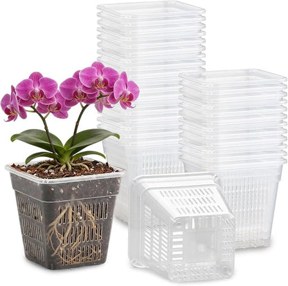 BTPLASTIK Clear Square Nursery Pots, 30 Packs 4 Inch Clear Air Pruning Square Pots, Transparent Plastic Plant Pots for Seed Starting, Root Cutting
