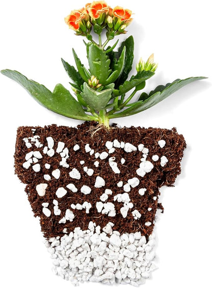 Seed Starting Potting Mix - Coco Coir 650gm Bricks (3-Pack) + Perlite Bliss + Vermiculite Bliss - Organic Potting Soil Mix - Coconut Coir Bricks - Seed Starter Soil for Indoor Plants & Outdoor Plants