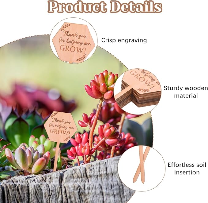 30PCS Thank You for Helping Me Grow Hexagon Wooden Plant Identification Stakes, Garden Succulents Tags Labels for Plants Gifts, Pot Label Picks for Teacher's Day or Mother's Day Appreciation Thanks