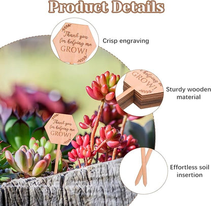 30PCS Thank You for Helping Me Grow Hexagon Wooden Plant Identification Stakes, Garden Succulents Tags Labels for Plants Gifts, Pot Label Picks for Teacher's Day or Mother's Day Appreciation Thanks
